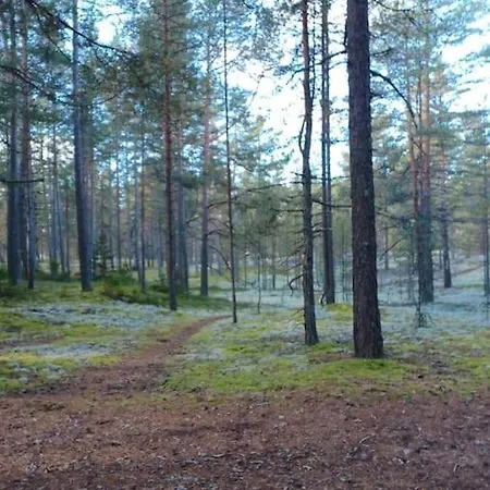 公寓 15 Min By Foot From Yyteri Beach! *