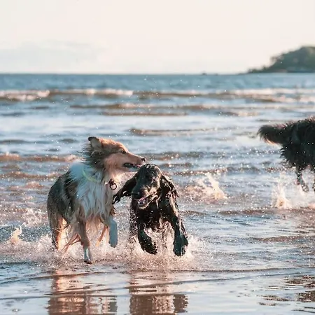 15 Min By Foot From Yyteri Beach! 波里